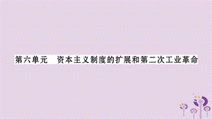 中考?xì)v史復(fù)習(xí)第一篇教材系統(tǒng)復(fù)習(xí)第4板塊世界歷史第6單元資本主義制度的擴(kuò)展和第二次工業(yè)革命（習(xí)題）課件