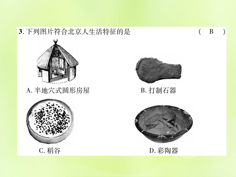 七年级历史上册第1单元史前时期：中国境内人类的活动达标测试卷课件_第3页