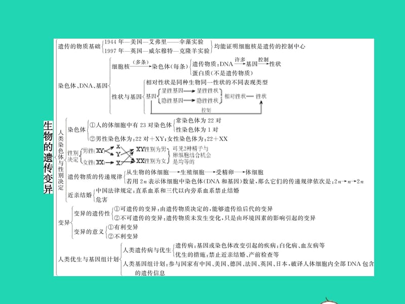 八年级生物上册第四单元第四章生物的遗传与变异本章整合课件（新版）济南版_第2页