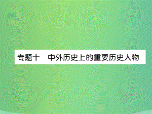 中考?xì)v史總復(fù)習(xí)第二編熱點(diǎn)專題速查篇專題10中外歷史上的重要?dú)v史人物（精講）課件