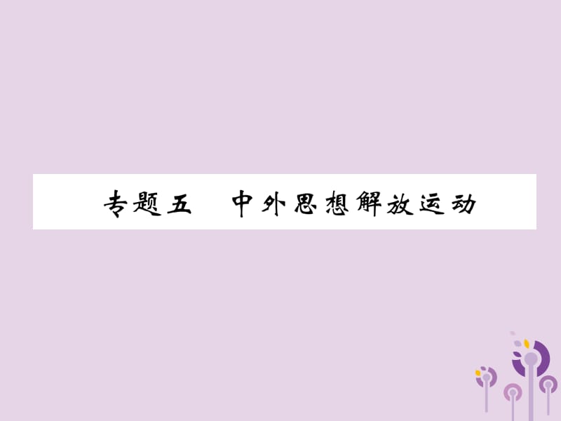 中考历史总复习第二编热点专题速查篇专题5中外思想解放运动（精练）课件_第1页