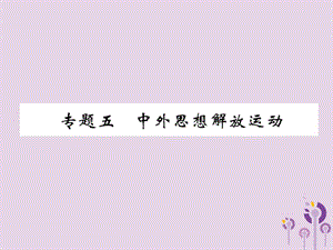 中考歷史總復習第二編熱點專題速查篇專題5中外思想解放運動（精練）課件