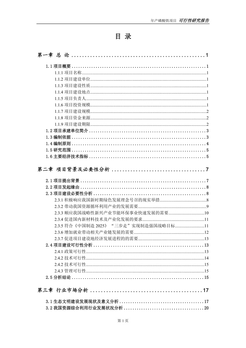 磷酸铁项目可行性研究报告【可编辑】_第2页