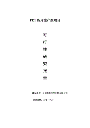PET瓶片生产线项目可行性研究报告【量身编辑】