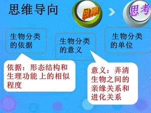 八年級(jí)生物上冊(cè)6.1.2《從種到界》課件（打包5套）（新版）新人教版.zip