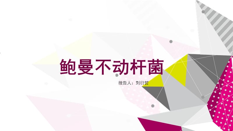 《鲍曼不动杆菌》PPT课件.ppt_第1页