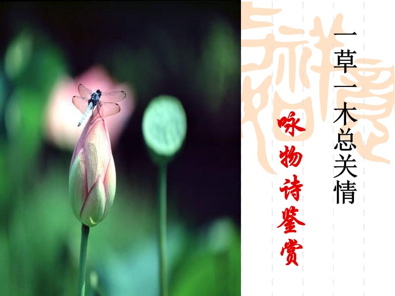 一草一木總關(guān)情-詠物詩鑒賞PPT課件(公開課).ppt_第1頁