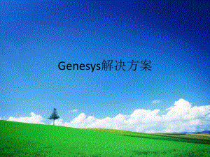 《Genesys系統(tǒng)》PPT課件.ppt