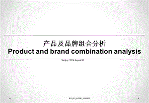 产品及品牌组合分析.ppt