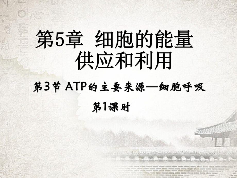 《ATP的主要來源-細胞呼吸》課件.ppt_第1頁