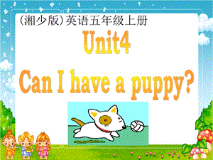 (湘少版)五年級英語上冊課件 unit4.ppt