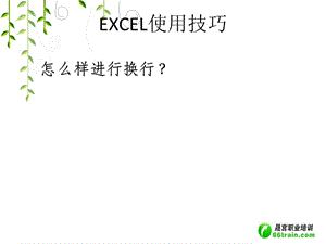 《EXCEL使用技巧》PPT課件.ppt