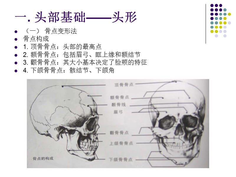 《动画角色表情设计基础》.ppt_第3页