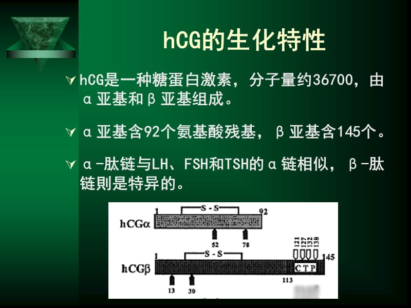 HCG定量检测的意义.ppt_第3页