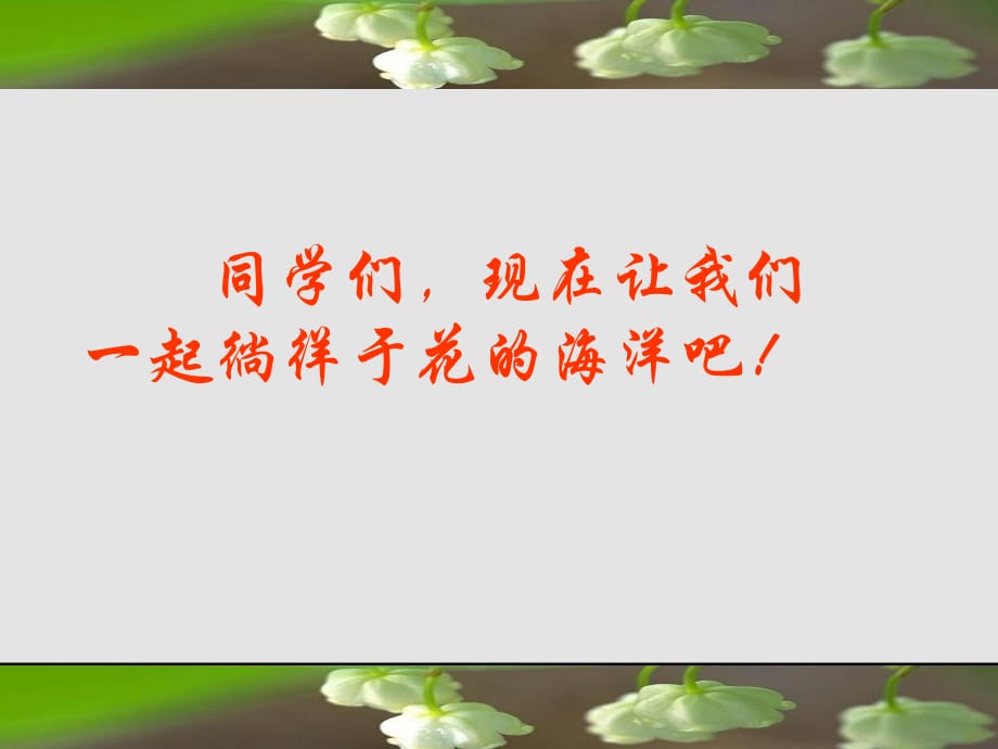 《送你一束轉(zhuǎn)基因花》.ppt_第1頁