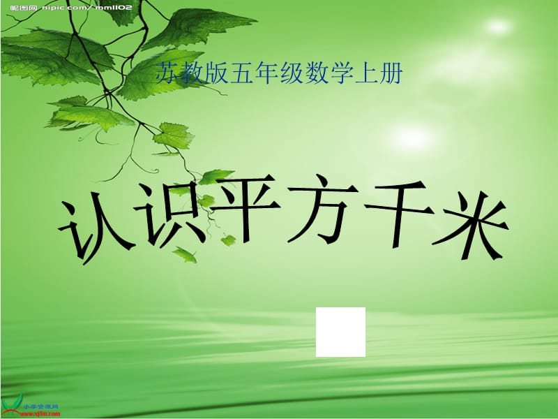 《认识平方千米》PPT课件.ppt_第1页