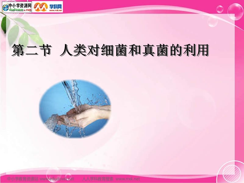 《人類對(duì)細(xì)菌和真菌的利用》.ppt_第1頁(yè)