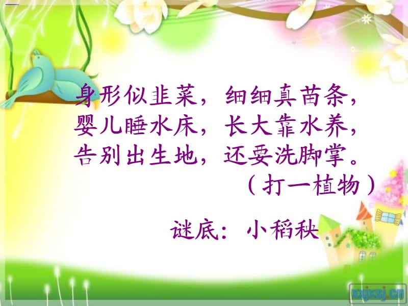 《小稻秧脱险记》PPT课件.ppt_第1页