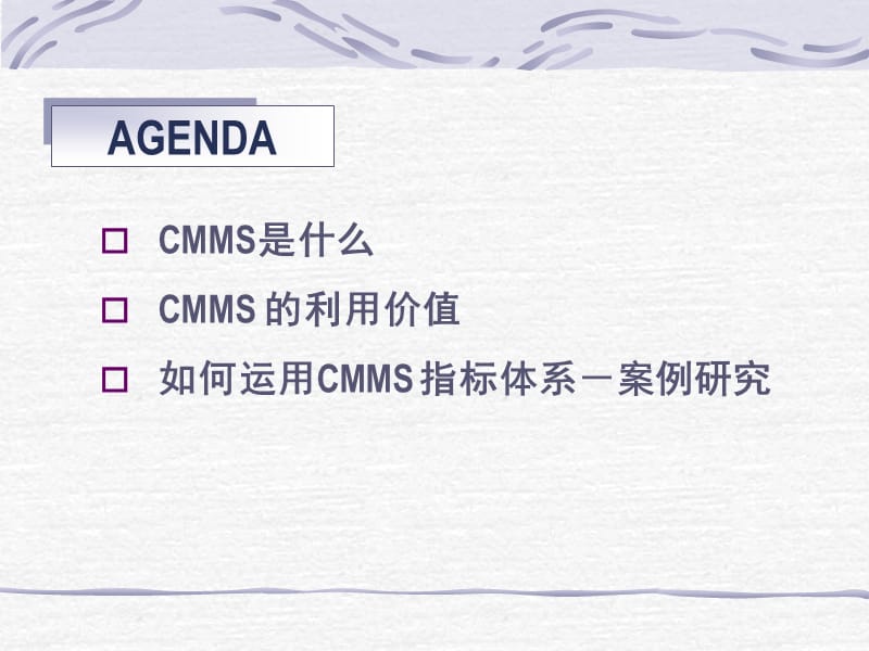 CMMS在媒介计划中的运用.ppt_第2页