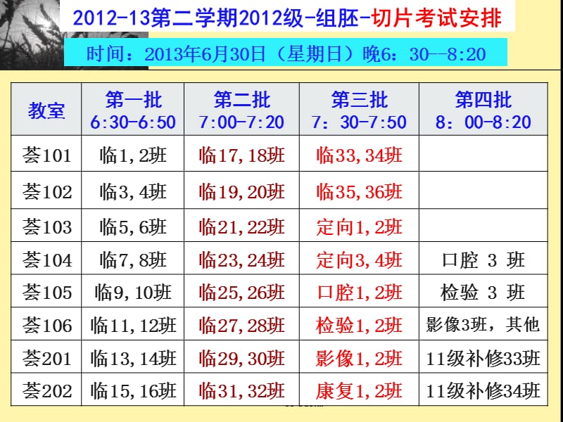 2013-春-12级-大本科-组胚-理论复习要点.ppt_第1页