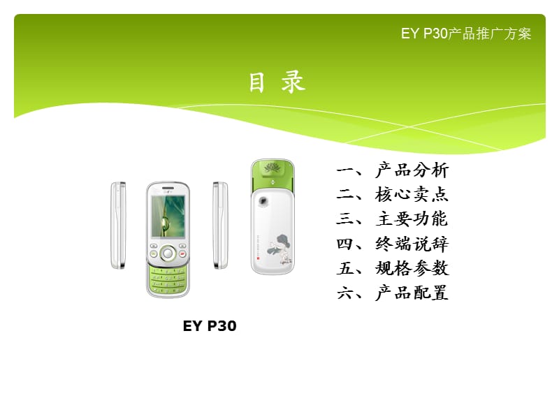 EY-P30产品推广方案.ppt_第2页