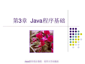 java程序设计教程第3章-Java程序基础.ppt