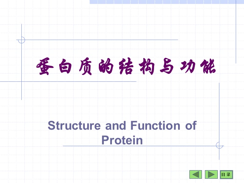 中图版高中生物必修1蛋白质的结构与功能ppt[ty].ppt_第1页