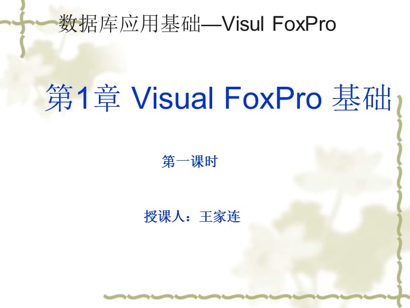 《數(shù)據(jù)庫應(yīng)用基礎(chǔ)》PPT課件.ppt_第1頁