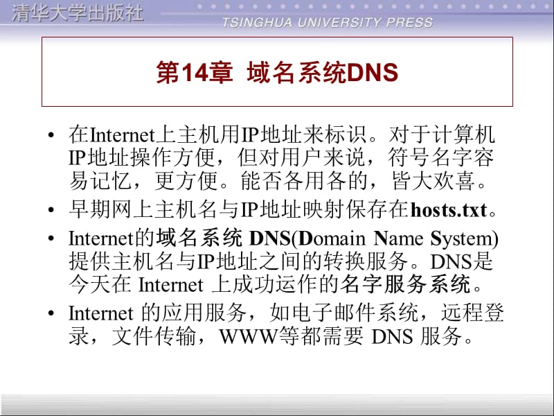 《域名系统DNS》PPT课件.ppt_第1页