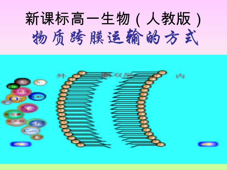 新課標(biāo)人教版高一生物.pptx_第1頁