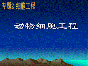 人教版教學(xué)課件吉林省扶余一中高二生物《動(dòng)物細(xì)胞培養(yǎng)》.ppt