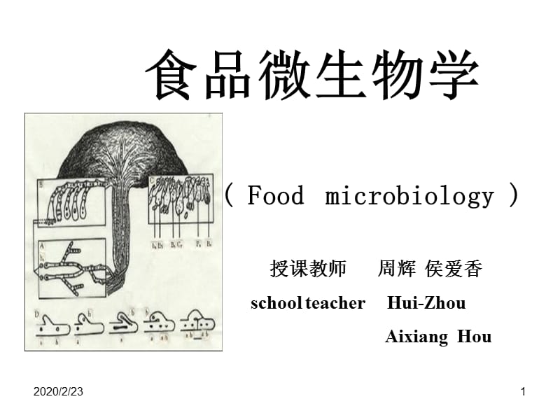 江汉湖第三版食品微生物学01第一章绪论.ppt_第1页