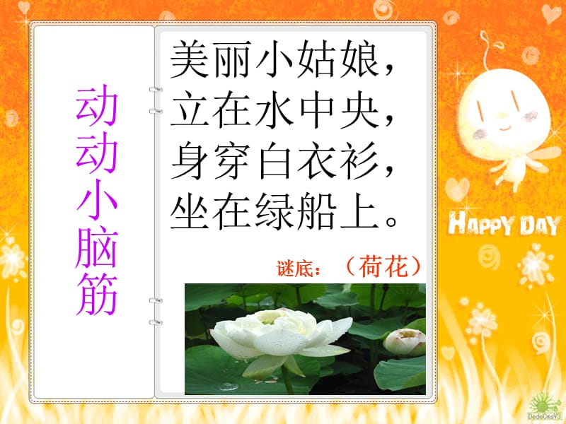 國標蘇教版三下《荷花》課件(有生字詞).ppt_第1頁