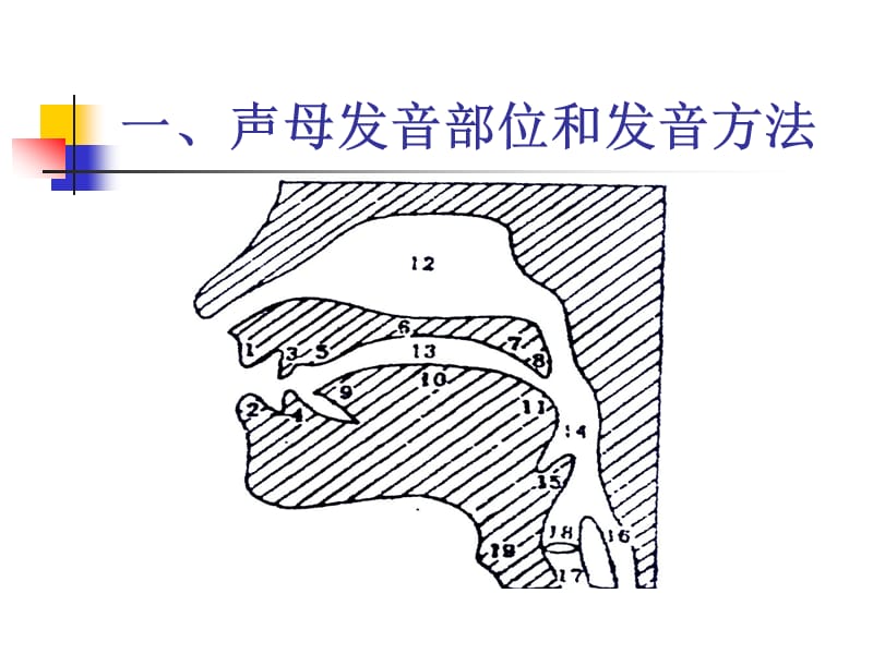 普通话口语·声母部分.ppt_第3页