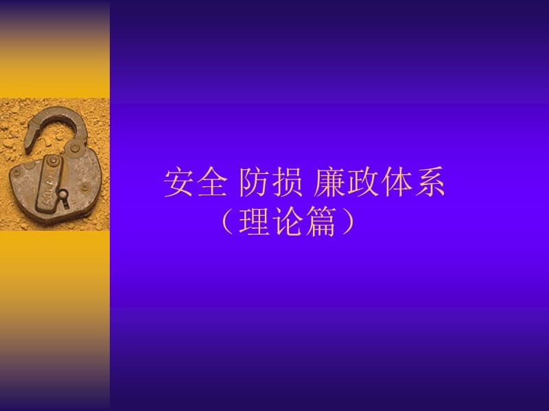 廣東東莞大新商貿(mào)培訓(xùn)流程安全防損廉政體系.ppt_第1頁(yè)