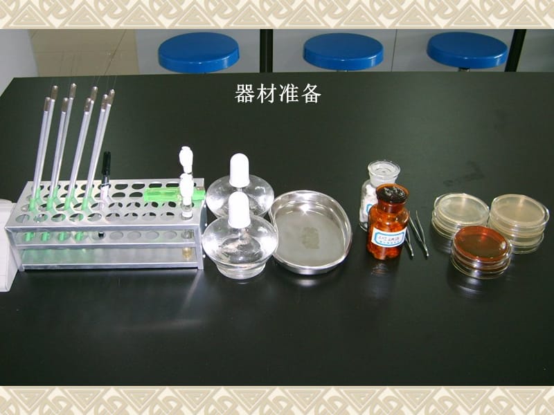 医学微生物学实验脓汁和粪便标本中病原菌的检测.ppt_第1页