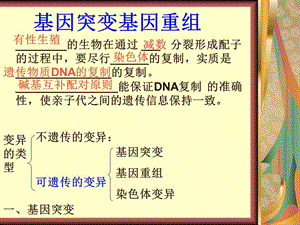 新課標(biāo)人教必修版高一生物基因突變基因重組.ppt