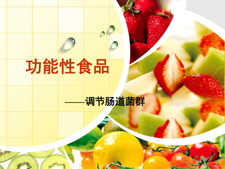 调节肠道菌群的功能性食品.ppt_第1页