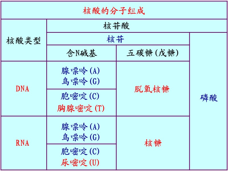 人教版教學(xué)課件浙江省溫州市龍灣中學(xué)高中生物必修二《DNA的分子結(jié)構(gòu)和特點(diǎn)》.ppt_第1頁