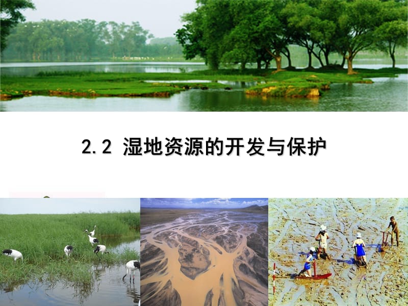 湿地资源的开发与保护.ppt_第1页