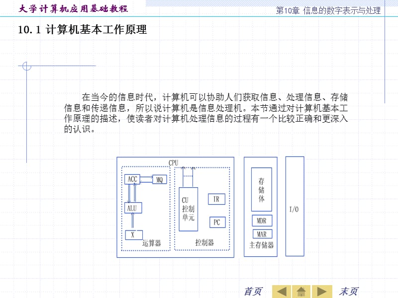 信息的数字表示与处理.ppt_第2页