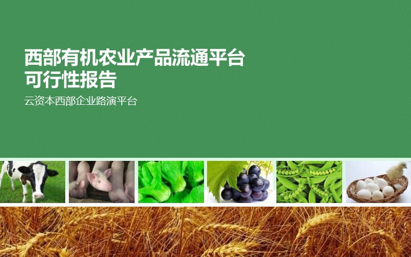 绿色农业产品模板.ppt_第1页