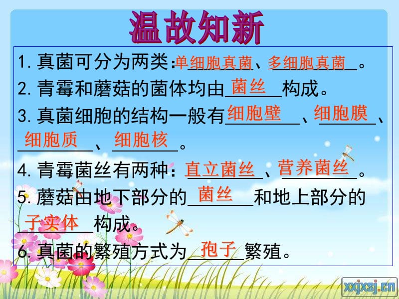 细菌和真菌在自然界中的作用.ppt_第1页