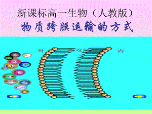 新课标高一生物(人教版).ppt