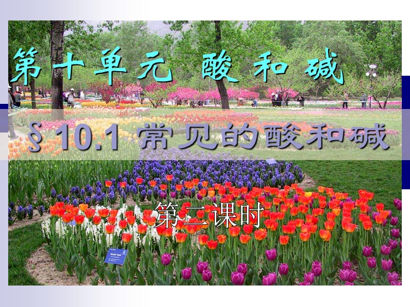 常见的酸和碱2碱.ppt_第1页