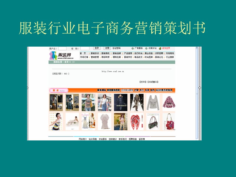 女服装行业电子商务营销策划书(ppt18).ppt_第1页