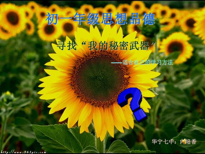 廣教版《掌握科學(xué)的學(xué)習(xí)方法》.ppt_第1頁