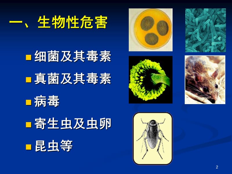 南农食品安全导论第二章食品中的生物性危害.ppt_第2页