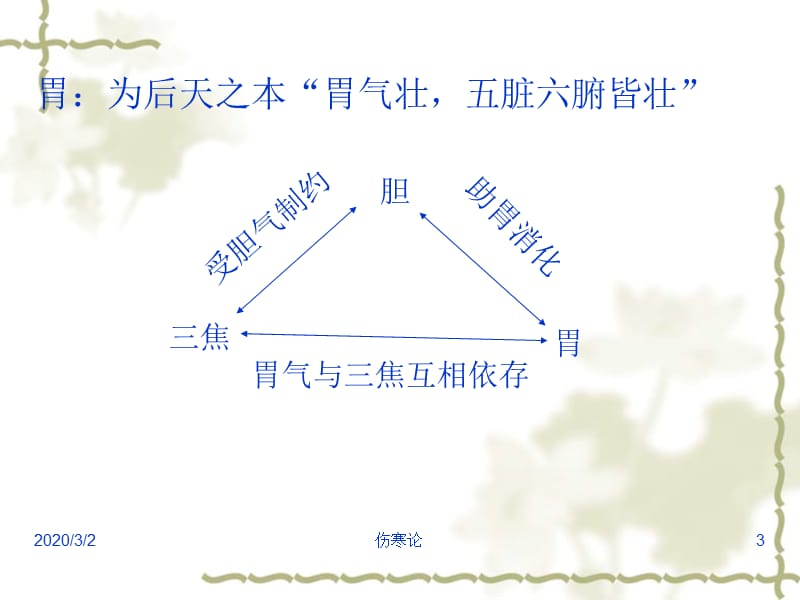 伤寒论--少阳病篇(七版).ppt_第3页