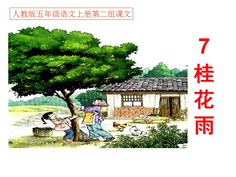 人教版小学五年级语文上册《桂花雨》ppt课件.ppt_第1页